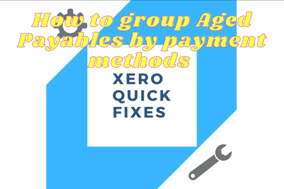 Quick Fixes 23 - How to group Aged Payables by payment methods on Xero a simple solution